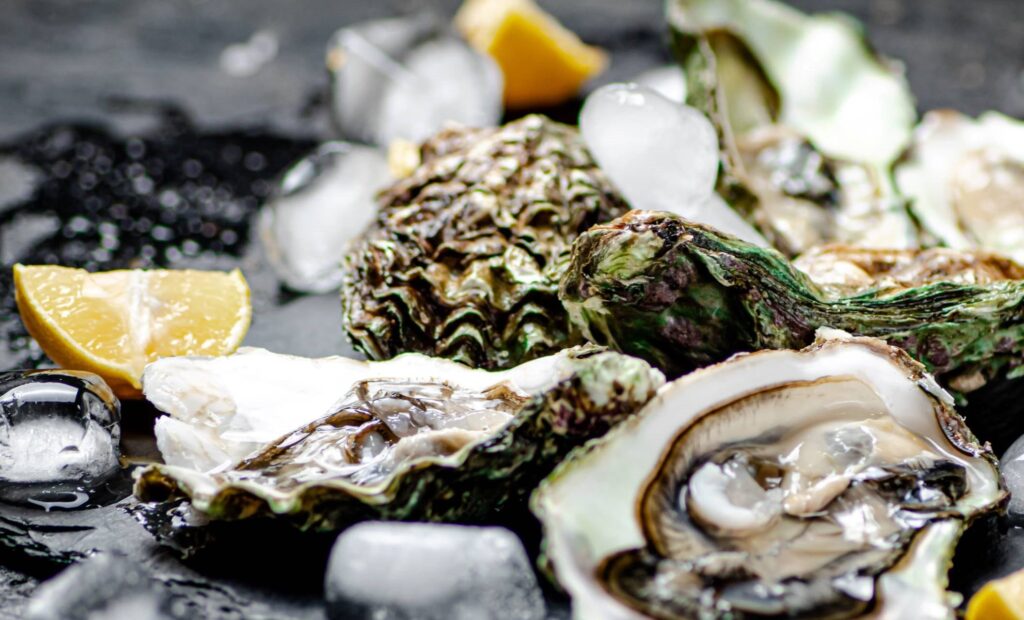 Commercial Ice Machines