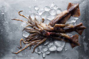 Ice Machine Maker Commercial