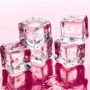 Commercial Ice Machines Cost: A Beginner’s Guide